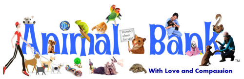 Animal Bank 